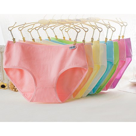 Combo 10 quần lót nữ - quần chip nữ trơn cotton co dãn 4 chiều CCD41