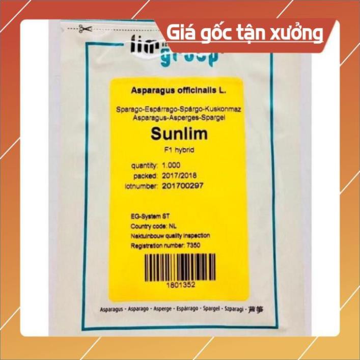 Hạt giống măng Tây xanh  F1 Hà Lan- gói 1000 hạt