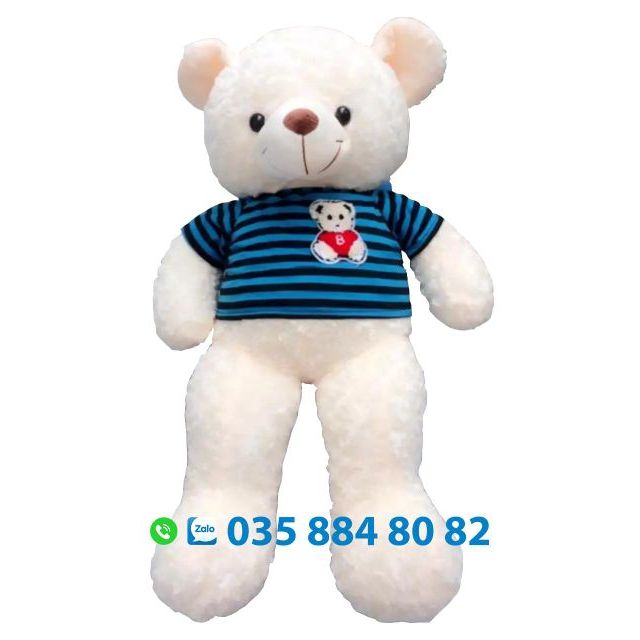 Gấu bông teddy khổ 1m cao 80cm