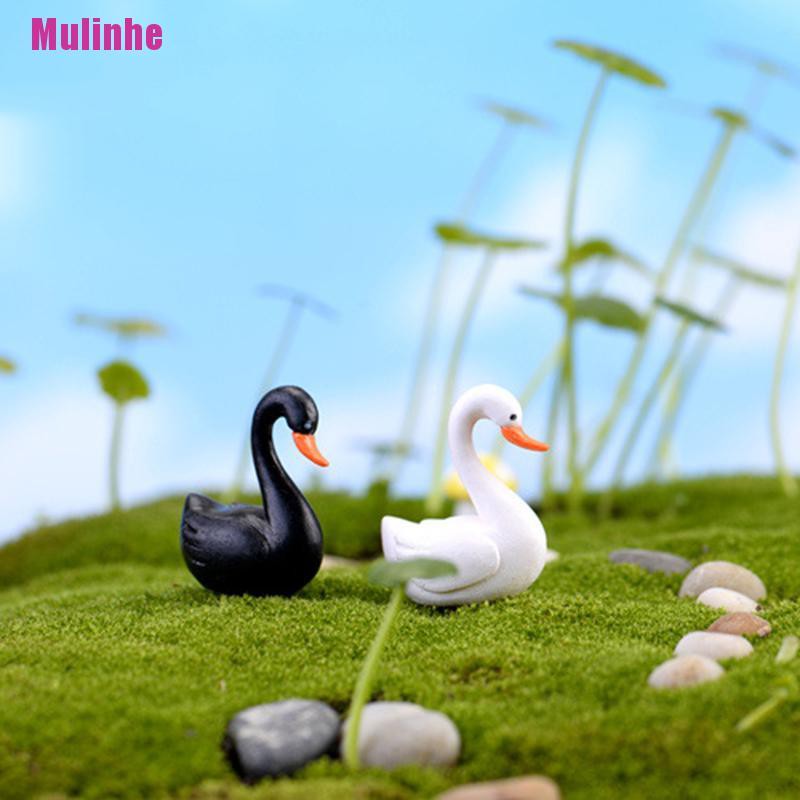 Thiên Nga Đen / Trắng Mini Trang Trí Sân Vườn