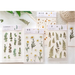 STICKER nhựa pet hình hoa trang trí bullet journal / planner / scrapbook