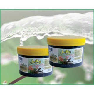 Thạch Hùng Chương cafe 2kg2