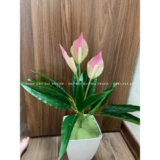 cây lan ý 50cm - cây giả decor
