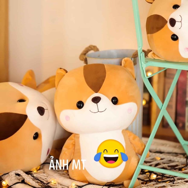 Gấu Bông Sóc Nâu 45Cm Có Ảnh Thật + Video Gấu Bông Hình Thú Cute Ngộ Nghĩnh Size 45 Cm Siêu To Siêu Dễ Thương