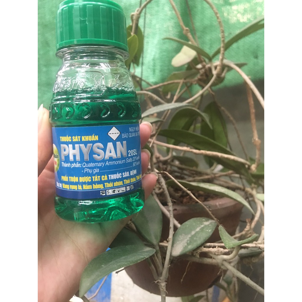 [Giá sỉ] Thuốc PHYSAL 20SL đặc trị thối nhũn, cháy lá 100ml