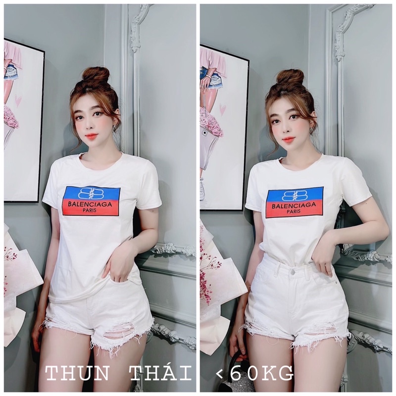Áo thun thái form dưới 60ki hàng bán  shop chat đẹp  mát