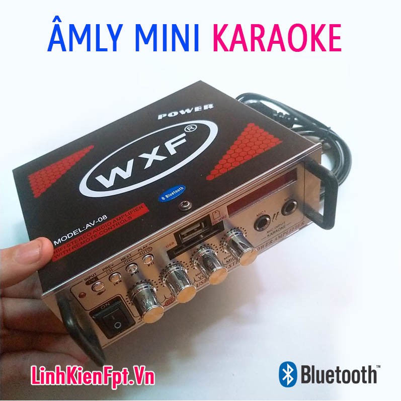 Âm Ly karaoke Bluetooth Amly Xe Hơi 2 MIC AV-08BT