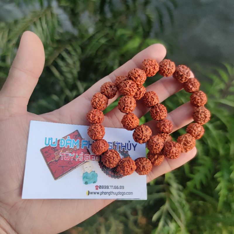 Chuỗi hạt bồ đề, chuỗi hạt phật nhãn, bồ đề kim cang, vòng tay phong thủy | BigBuy360 - bigbuy360.vn