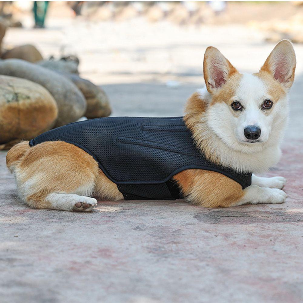 Áo Sát Nách Mềm Mại Phục Hồi Cột Sống Cho Thú Cưng