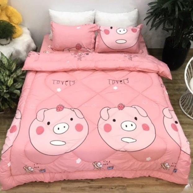 Bộ 5 ga gối và chăn phao poly cotton chần bông dày loại 1 mềm êm được chọn mẫu