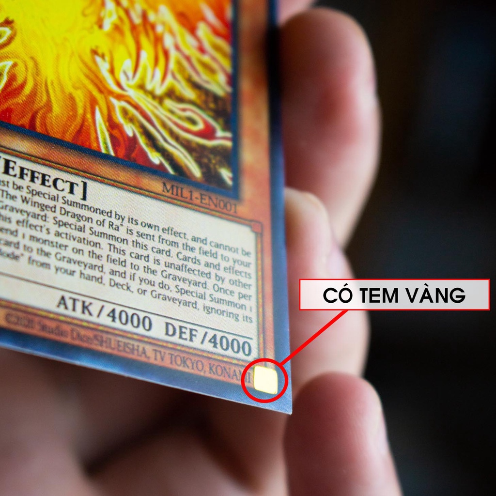 Tool World card bài yugioh có tem chất lượng cao full hộp Bộ bài khởi đầu - Bài Yugi