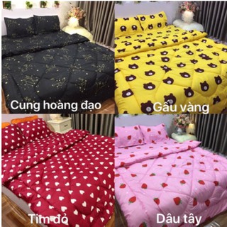 Chăn phao siêu nhẹ poly