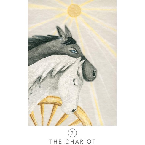 Bài White Sage Tarot