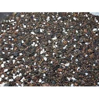 500gr Đất Trộn Chuyên Trồng Sen Đá