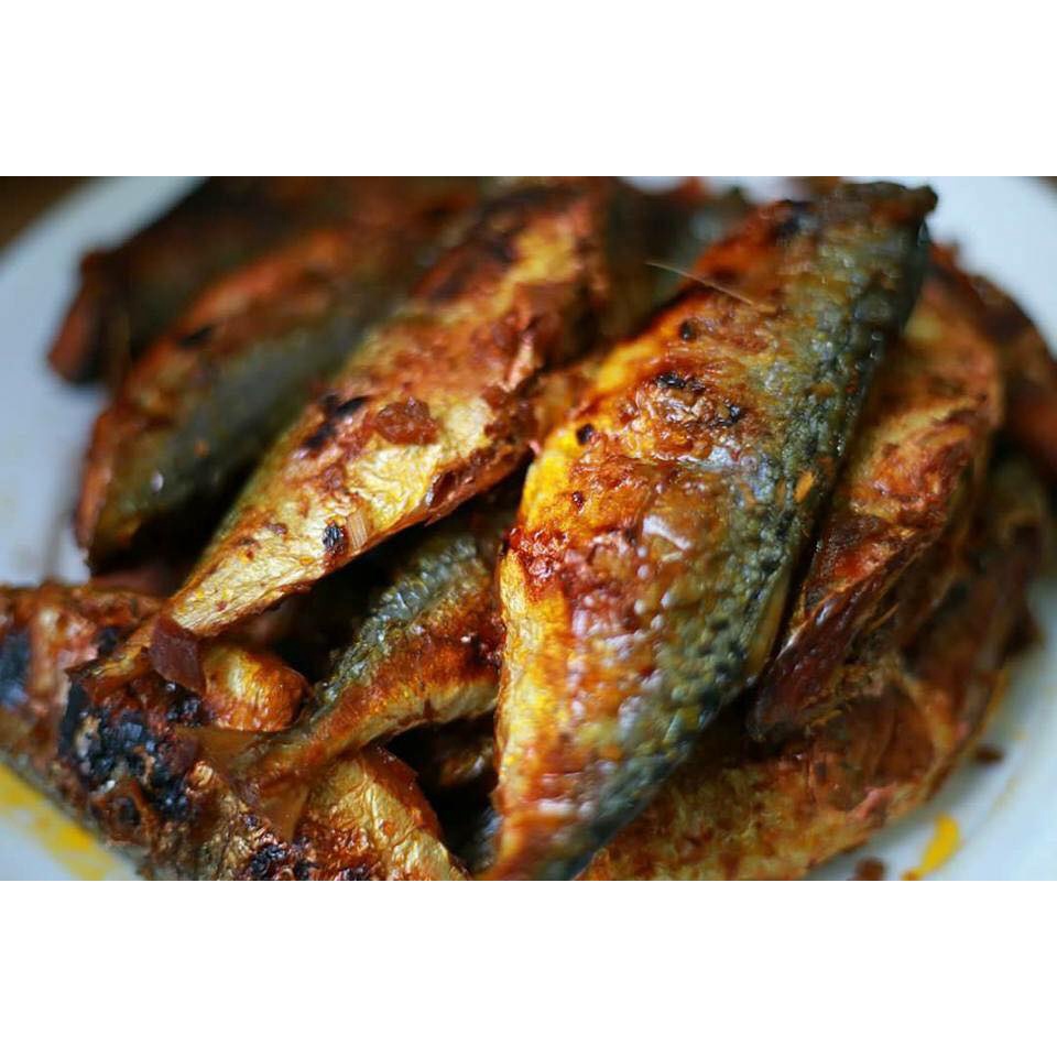 1kg Cá Bạc Má nướng ( Hậu Lộc ) Siêu ngon chế biến được nhiều món | BigBuy360 - bigbuy360.vn