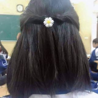 KẸP TÓC CÚC HOẠ MI