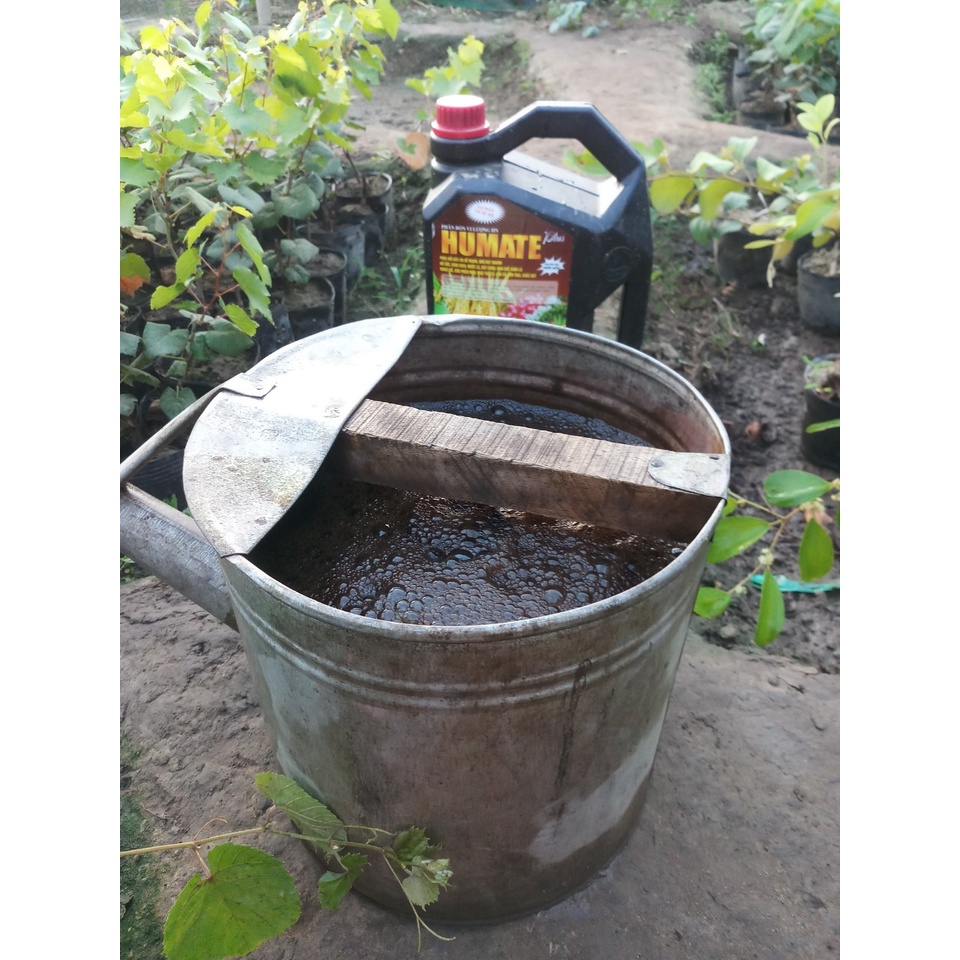 Phân bón Humic Humate vi lượng hữu cơ phục hồi cây ra rễ mạnh PB10