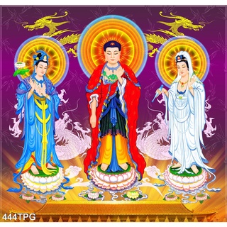 TRANH DÁN TƯỜNG TÂY PHƯƠNG TAM THÁNH - TRANH PHẬT GIÁO