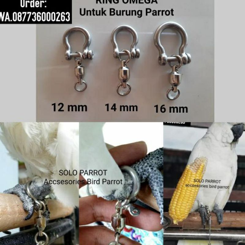 Dây xích inox 304 & móc khóa omega cho vẹt có khắc tên số điện thoại