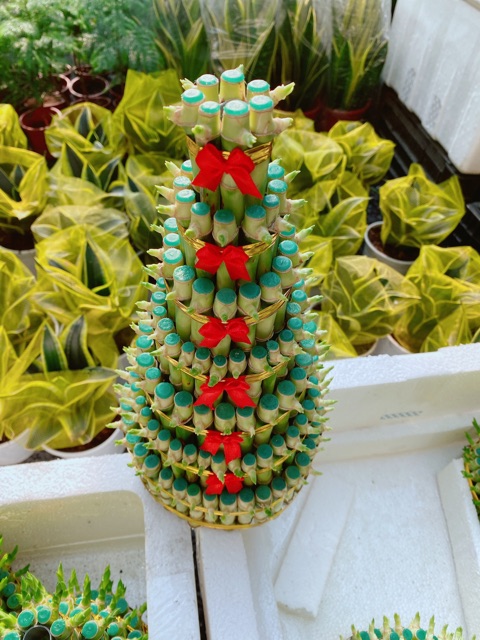 Trúc Phát Tài 7 tầng kèm dĩa