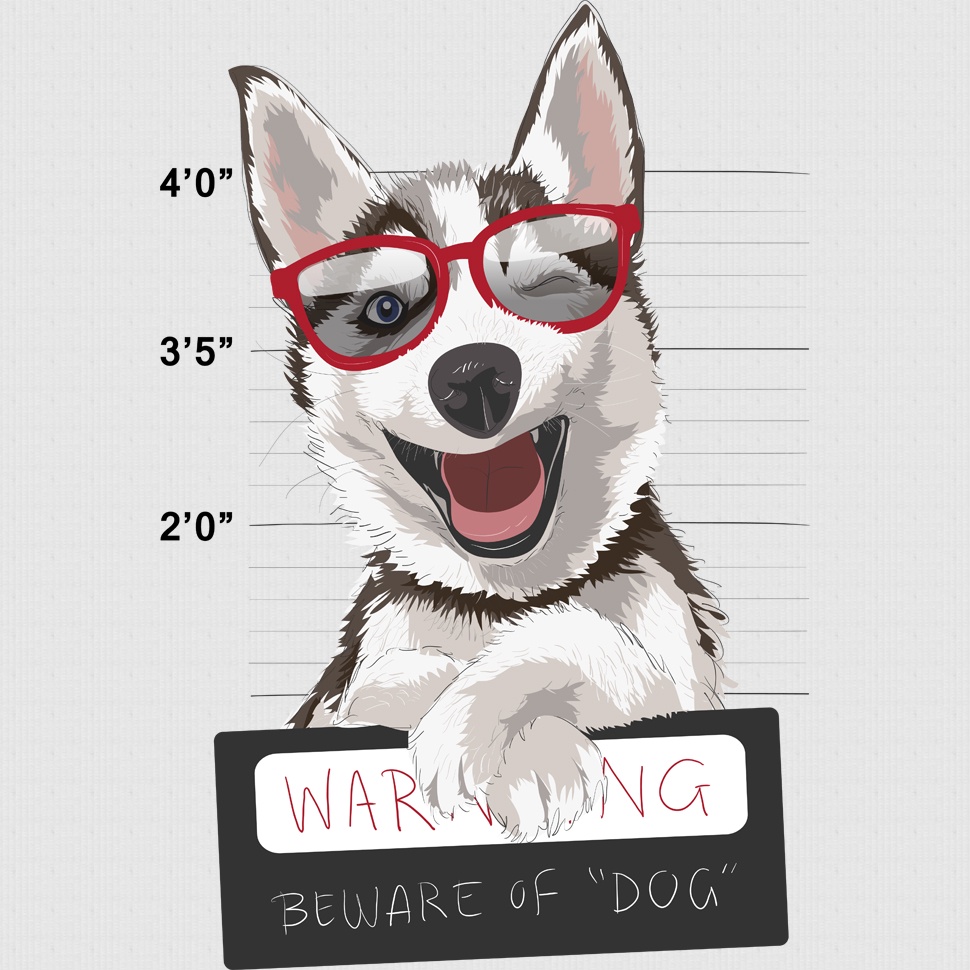 Áo Thun Tay Lỡ MYO In Husky Q009