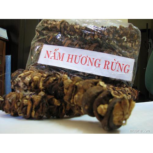 [200G ĂN THỬ] Nấm Hương Cao Bằng