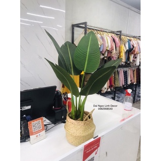Cây chuối giả 80cm