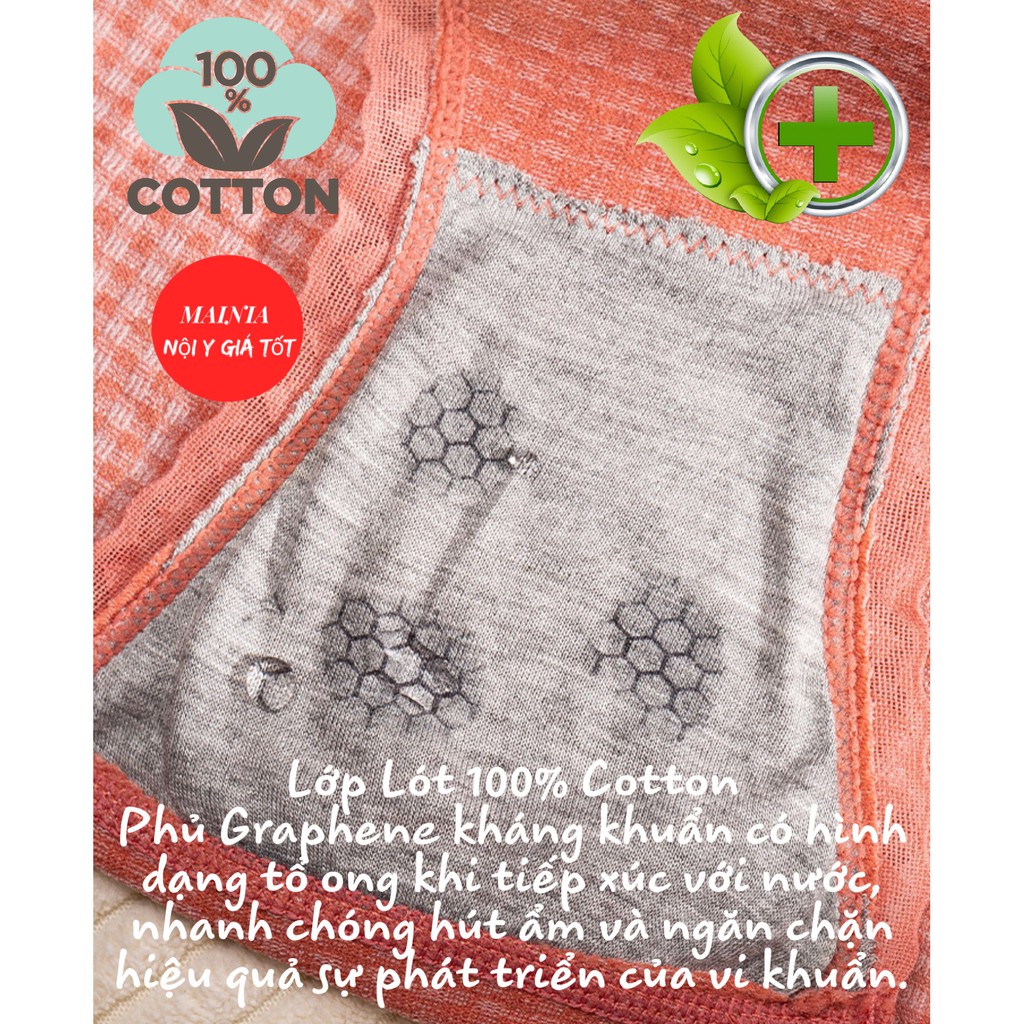 Quần Lót Nữ Cotton Kháng Khuẩn Sọc Kẻ Caro Viền Ren Cao Cấp Mainia Shop