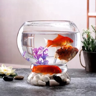 HQ11 Hồ cá chậu cây để bàn 15x15cm thủy tinh có bán kèm rọ nhựa sỏi màu