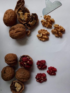 NHÂN ÓC CHÓ ĐỎ MỸ 500G
