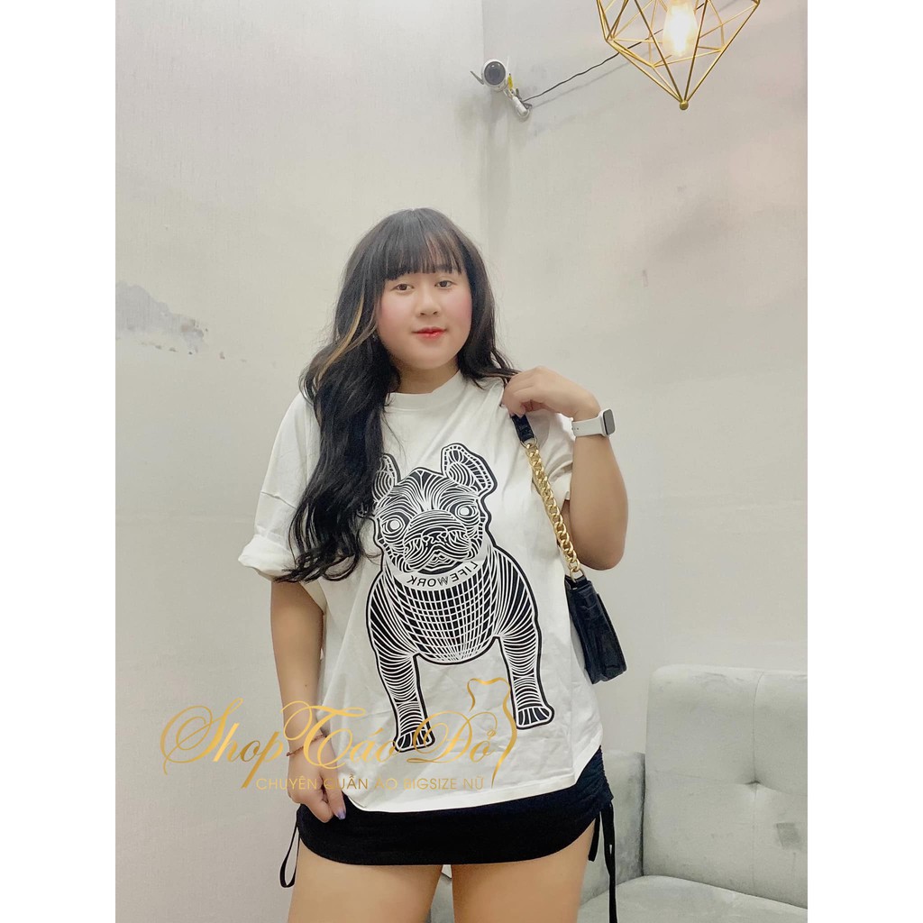 (TÁO ĐỎ BIGSIZE 55-90KG) ÁO THUN TAY LỠ, ÁO PHÔNG UNISEX NAM NỮ HỌA TIẾT CON CÚN SIÊU HOT ❤️❤️❤️