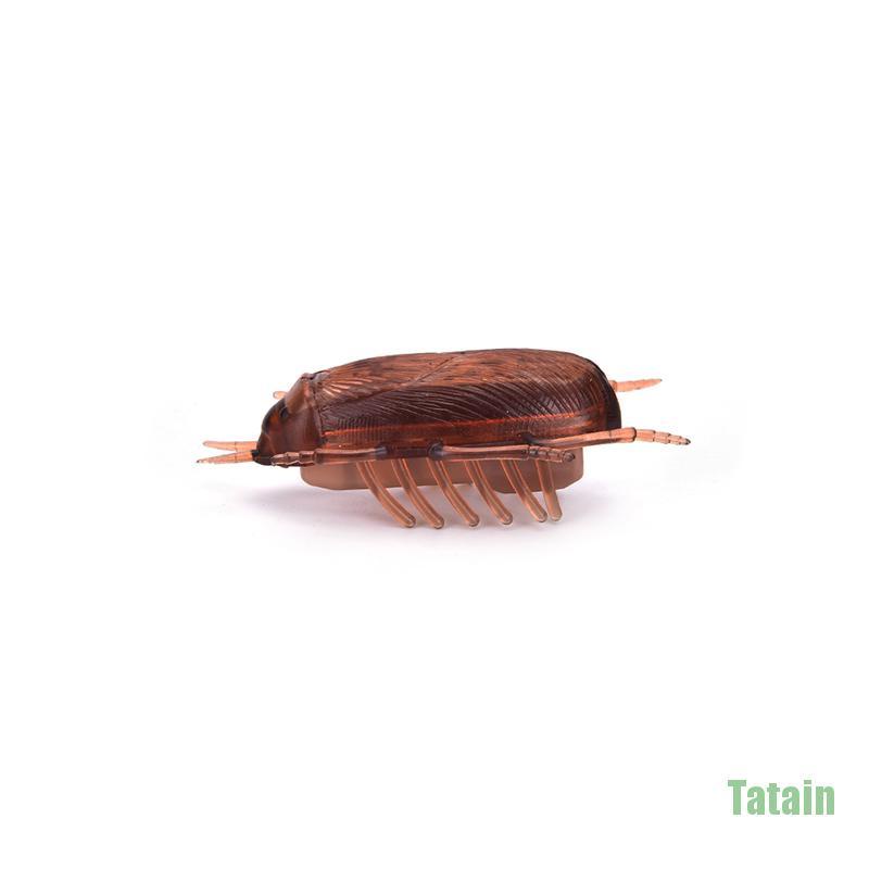 Đồ chơi hình con gián chạy bằng pin vui nhộn cho mèo cưng