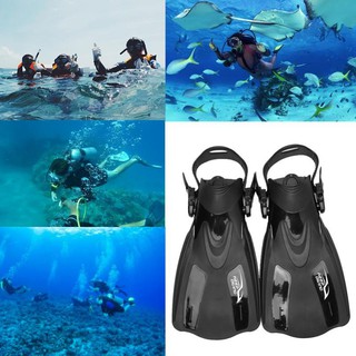 Chân Vịt Bơi Lặn Cho Người Lớn