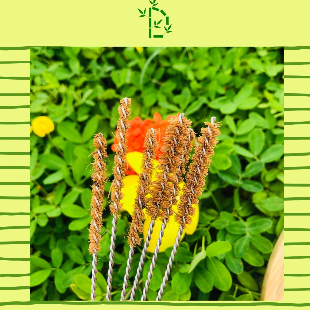 CỌ XƠ DỪA - Cọ rửa ống hút, cọ xơ dừa tái sử dụng nhiều lần Đà Lạt Bamboo