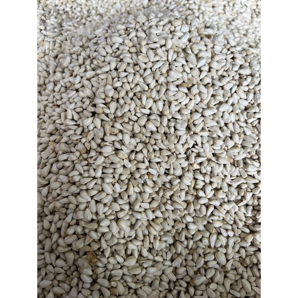 Hạt Kham Nga 500g - 1 Ký