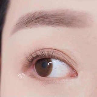 Kẹp Bấm Mi Vacosi Cán Tím