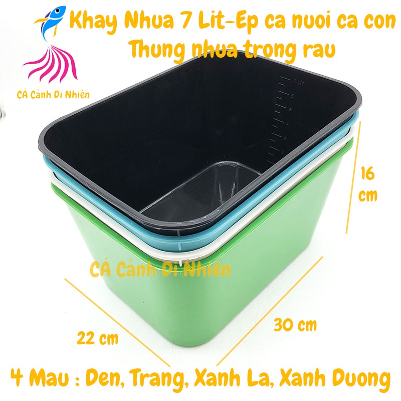 Khay nhựa 7 Lít nuôi cá ép cá con - Thùng nhựa trồng rau 30x22x16cm