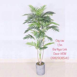 Cây cau giả 1,5m