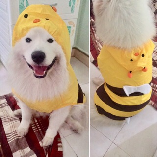 Áo mưa con ong vàng cực yêu