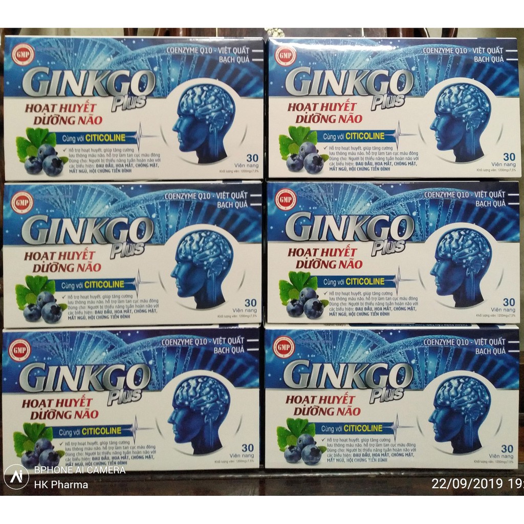 Chống Đau Đầu Mất Ngủ Ginkgo Plus Hộp 30 viên