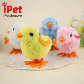 🐥Set 5 Chú Gà Con Chicky Lông Vàng Siêu Kute - quà trung thu cho bé