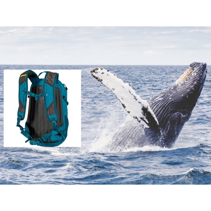 BALO DU LỊCH / DÃ NGOẠI / LEO NÚI / CẮM TRẠI TERNUA JAGGER 18L