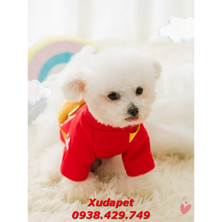 Áo Tết Cho Chó Mèo Kèm Túi Gấu Vàng May Mắn Đựng Lì Xì chất liệu vải thun co giãn cao cấp - Xudapet - SP000658