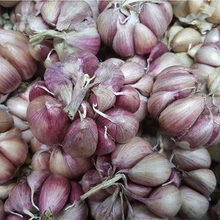 Tỏi tím tép to thơm