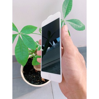 Kính cường lực chống nhìn trộm iPhone đủ mã