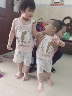 Combo c tạ thanh