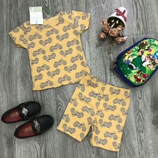 Combo bộ Carter
