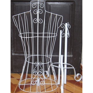 MANOCANH SẮT-CANH SẮT