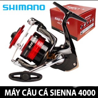 Máy câu cá Shimano sienna FG phiên bản 2020