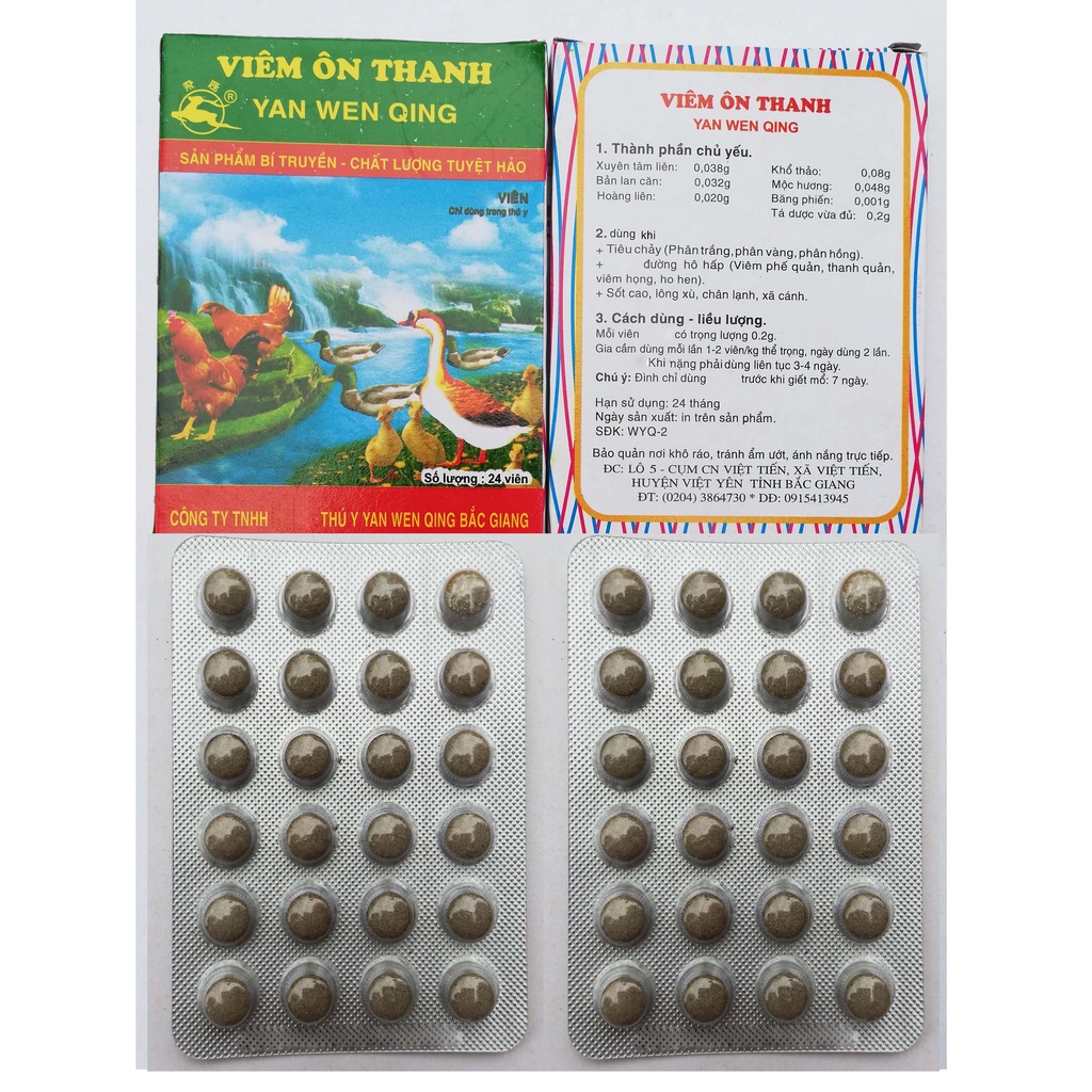 Viêm ôn thanh chuyên dùng cho gia cầm, gà chọi